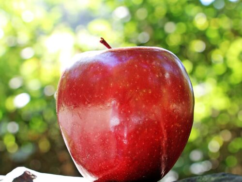 Le mele e le loro incredibili proprietà contro il cibo spazzatura