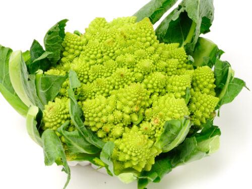 Broccoli: Proprietà e controindicazioni di uno straordinario alimento